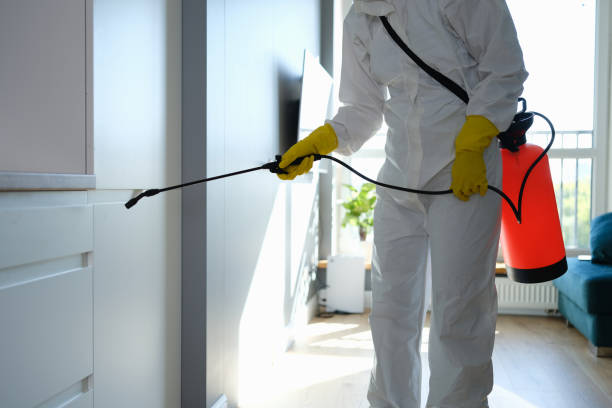 Best Mold Removal for HVAC Installations  in Sylva, NC